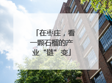 在枣庄，看一颗石榴的产业“链”变
