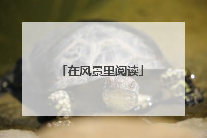 在风景里阅读