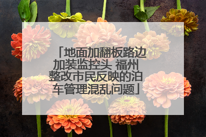 地面加翻板路边加装监控头 福州整改市民反映的泊车管理混乱问题