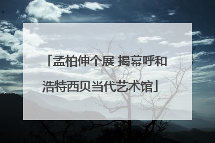 孟柏伸个展 揭幕呼和浩特西贝当代艺术馆