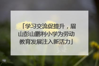 学习交流促提升，眉山彭山鹏利小学为劳动教育发展注入新活力