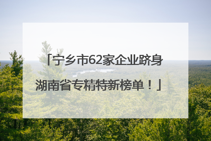 宁乡市62家企业跻身湖南省专精特新榜单！