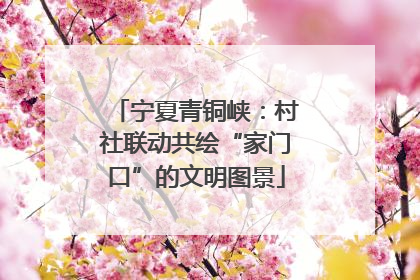 宁夏青铜峡：村社联动共绘“家门口”的文明图景