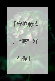 守护蔚蓝，“海”好有你