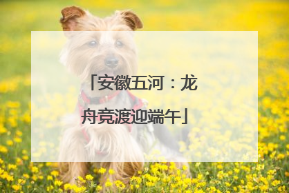 安徽五河：龙舟竞渡迎端午