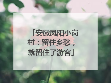 安徽凤阳小岗村：留住乡愁，就留住了游客