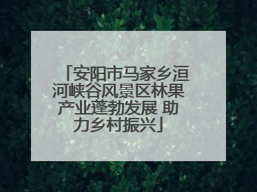 安阳市马家乡洹河峡谷风景区林果产业蓬勃发展 助力乡村振兴