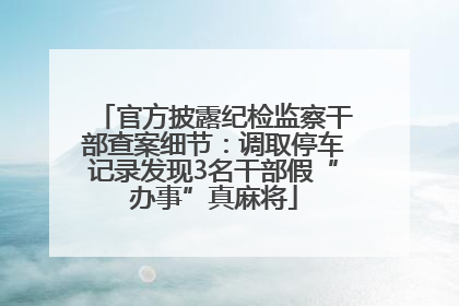官方披露纪检监察干部查案细节：调取停车记录发现3名干部假“办事”真麻将