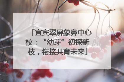 宜宾翠屏象鼻中心校：“幼芽”初探新枝，衔接共育未来