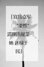 宜昌点军：“柔性”清理违规菜地 还绿于民