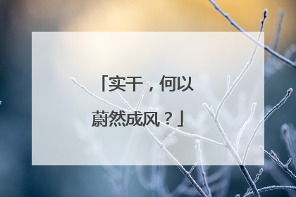实干，何以蔚然成风？