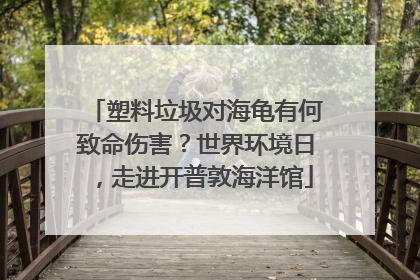 塑料垃圾对海龟有何致命伤害？世界环境日，走进开普敦海洋馆