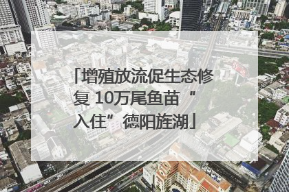 增殖放流促生态修复 10万尾鱼苗“入住”德阳旌湖
