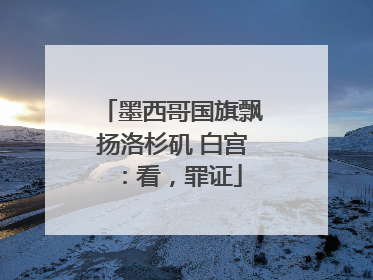 墨西哥国旗飘扬洛杉矶 白宫：看，罪证