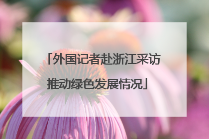 外国记者赴浙江采访推动绿色发展情况