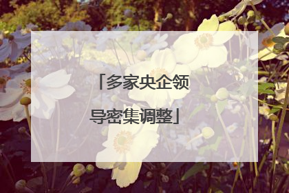 多家央企领导密集调整