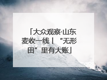 大众观察·山东麦收一线丨“无形田”里有大账
