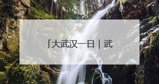 大武汉一日｜武汉地铁上，满满一车全是“宝贝”