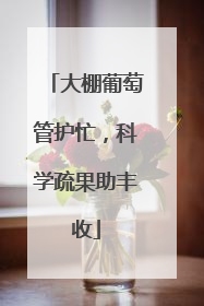 大棚葡萄管护忙，科学疏果助丰收