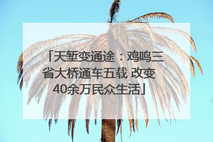 天堑变通途：鸡鸣三省大桥通车五载 改变40余万民众生活