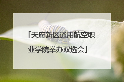 天府新区通用航空职业学院举办双选会
