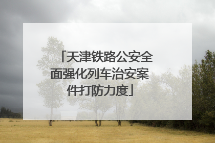 天津铁路公安全面强化列车治安案件打防力度