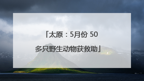太原：5月份 50多只野生动物获救助