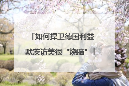 如何捍卫德国利益 默茨访美很“烧脑”