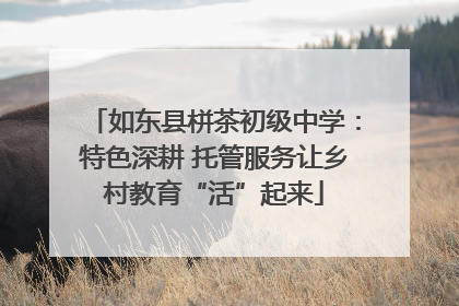 如东县栟茶初级中学：特色深耕 托管服务让乡村教育“活”起来