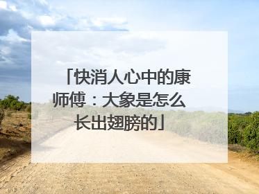 快消人心中的康师傅：大象是怎么长出翅膀的