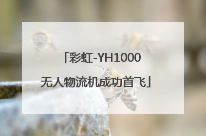 彩虹-YH1000无人物流机成功首飞