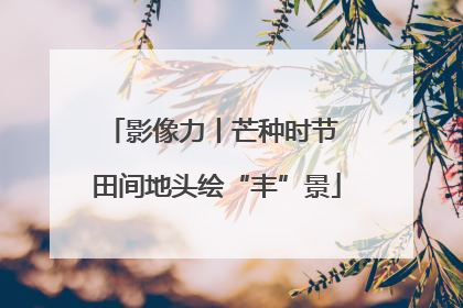 影像力丨芒种时节 田间地头绘“丰”景