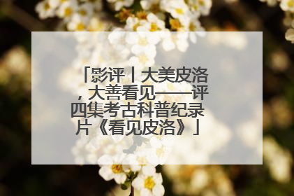 影评丨大美皮洛，大善看见——评四集考古科普纪录片《看见皮洛》
