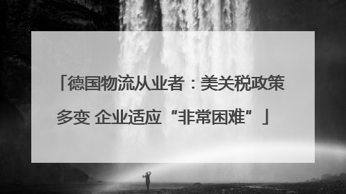 德国物流从业者：美关税政策多变 企业适应“非常困难”