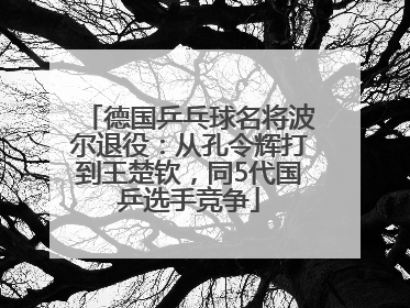 德国乒乓球名将波尔退役：从孔令辉打到王楚钦，同5代国乒选手竞争