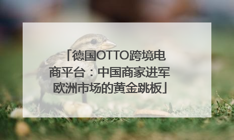 德国OTTO跨境电商平台：中国商家进军欧洲市场的黄金跳板