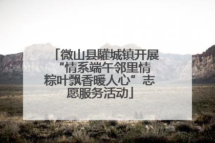 微山县驩城镇开展“情系端午邻里情 粽叶飘香暖人心”志愿服务活动