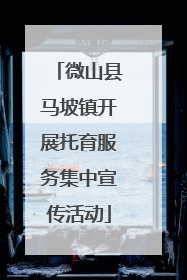 微山县马坡镇开展托育服务集中宣传活动