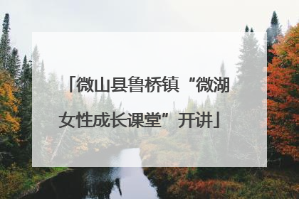 微山县鲁桥镇“微湖女性成长课堂”开讲
