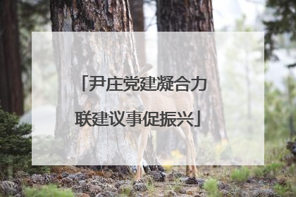 尹庄党建凝合力 联建议事促振兴