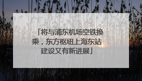 将与浦东机场空铁换乘，东方枢纽上海东站建设又有新进展
