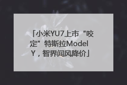 小米YU7上市“咬定”特斯拉Model Y，智界闻风降价