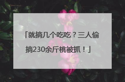 就摘几个吃吃？三人偷摘230余斤桃被抓！