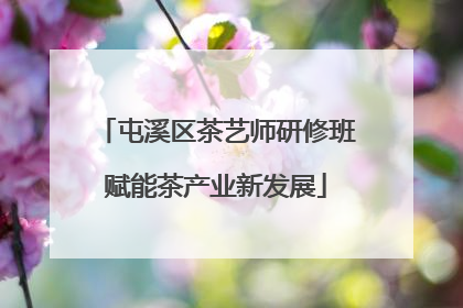 屯溪区茶艺师研修班赋能茶产业新发展