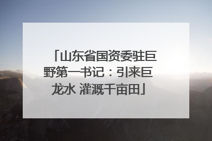山东省国资委驻巨野第一书记：引来巨龙水 灌溉千亩田