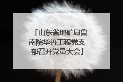 山东省地矿局鲁南院华鲁工程党支部召开党员大会