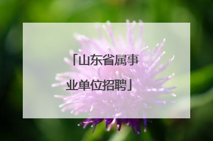 山东省属事业单位招聘
