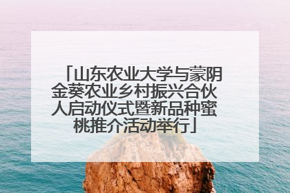 山东农业大学与蒙阴金葵农业乡村振兴合伙人启动仪式暨新品种蜜桃推介活动举行