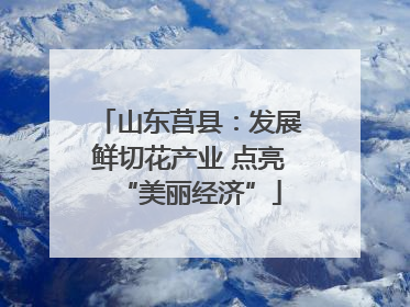 山东莒县：发展鲜切花产业 点亮“美丽经济”