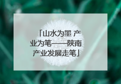 山水为墨 产业为笔——陕南产业发展走笔